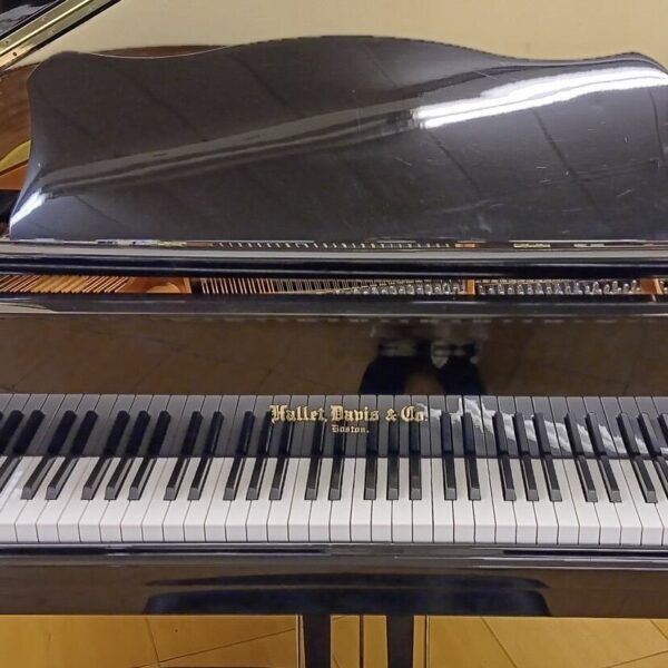 Hallet, Davis & Co. 5’ 2” Grand Piano