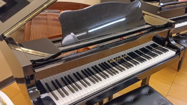 Hallet, Davis & Co. 5’ 2” Grand Piano - Image 3