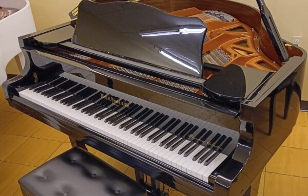 Hallet, Davis & Co. 5’ 2” Grand Piano - Image 4