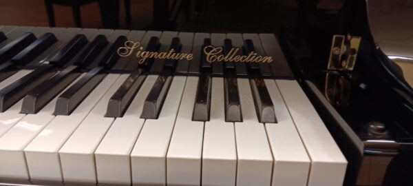 Hallet, Davis & Co. 5’ 2” Grand Piano - Image 5