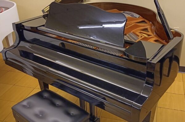 Hallet, Davis & Co. 5’ 2” Grand Piano - Image 7