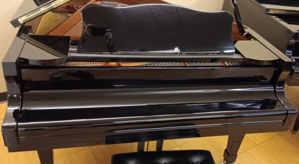 Hallet, Davis & Co. 5’ 2” Grand Piano - Image 8