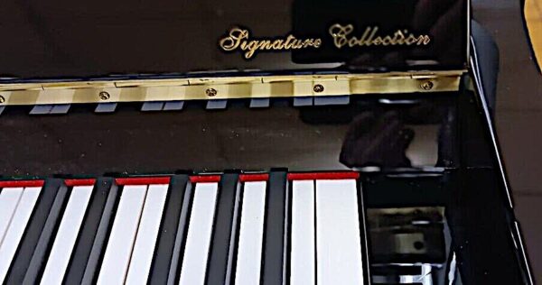 Hallet, Davis & Co. 46” Studio Piano - Image 2