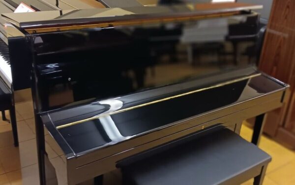 Hallet, Davis & Co. 46” Studio Piano - Image 7