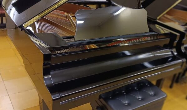 Yamaha Conservatory Model - Image 9