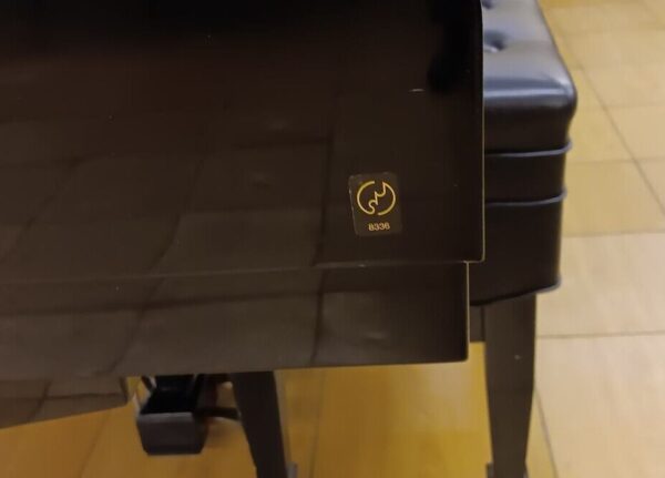 Yamaha Conservatory Model - Image 10