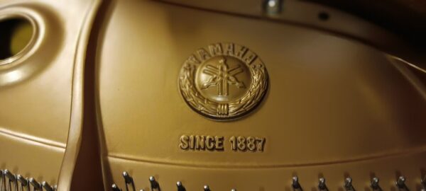 Yamaha Conservatory Model - Image 11