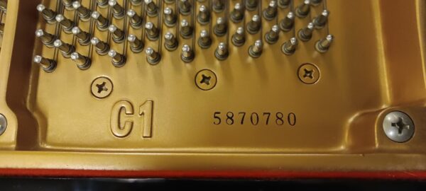 Yamaha Conservatory Model - Image 13