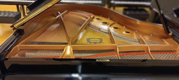 Yamaha Conservatory Model - Image 14
