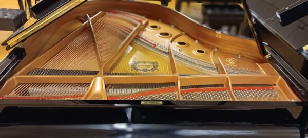 Yamaha Conservatory Model - Image 15