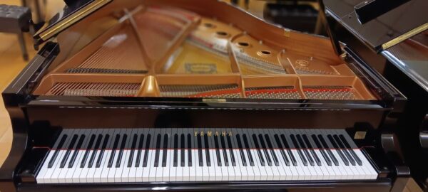 Yamaha Conservatory Model - Image 16