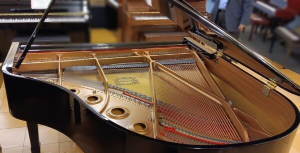 Yamaha Conservatory Model - Image 18