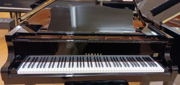 Yamaha Conservatory Model
