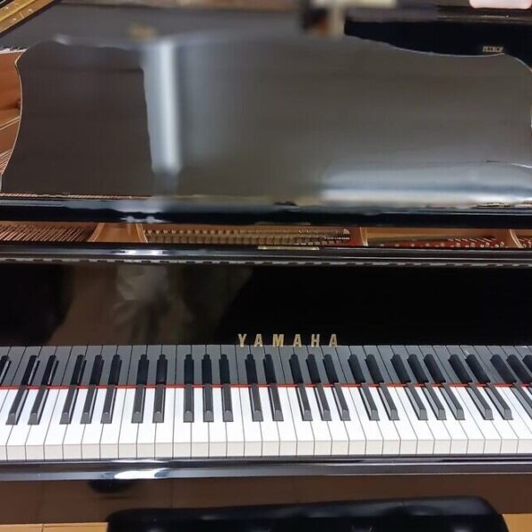 Yamaha Conservatory Model
