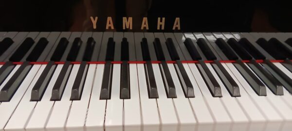 Yamaha Conservatory Model - Image 3