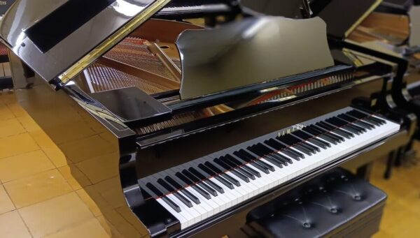 Yamaha Conservatory Model - Image 4