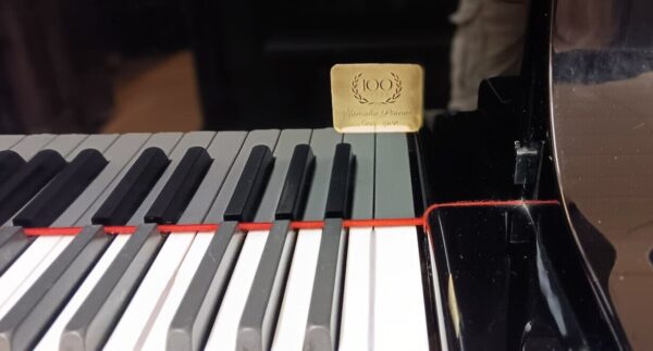 Yamaha Conservatory Model - Image 5