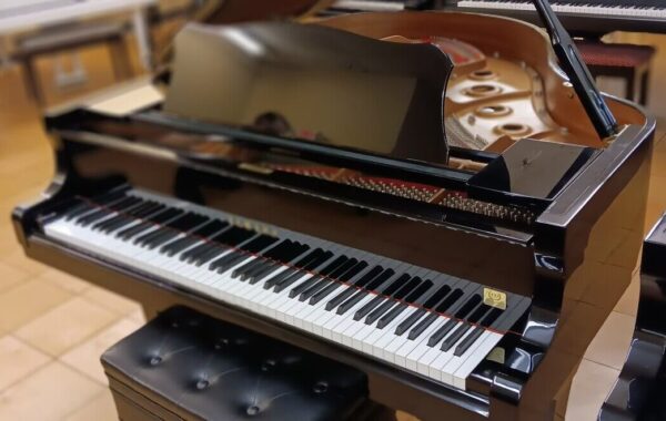 Yamaha Conservatory Model - Image 6