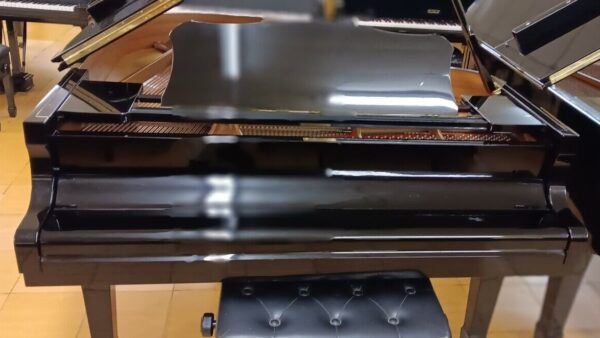 Yamaha Conservatory Model - Image 8